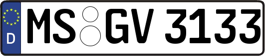 MS-GV3133