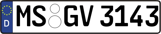 MS-GV3143