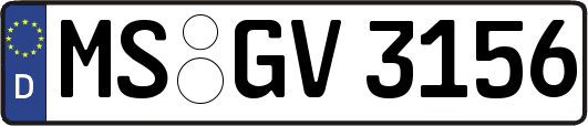 MS-GV3156