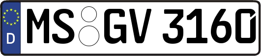 MS-GV3160