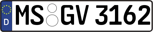 MS-GV3162