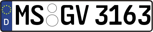 MS-GV3163