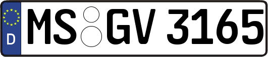 MS-GV3165
