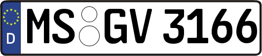 MS-GV3166