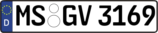 MS-GV3169