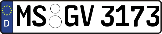 MS-GV3173