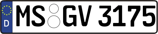 MS-GV3175