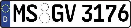 MS-GV3176