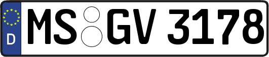 MS-GV3178