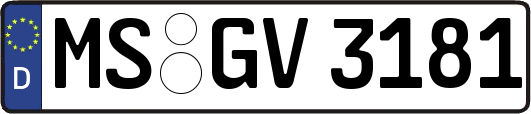 MS-GV3181