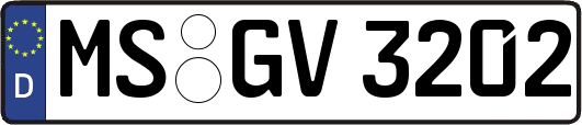 MS-GV3202