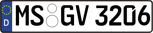 MS-GV3206