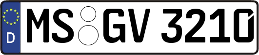MS-GV3210