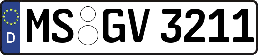 MS-GV3211