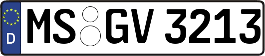 MS-GV3213