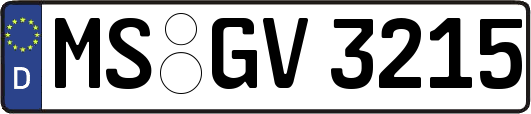MS-GV3215