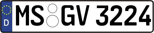 MS-GV3224