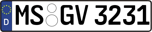 MS-GV3231