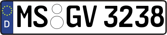 MS-GV3238
