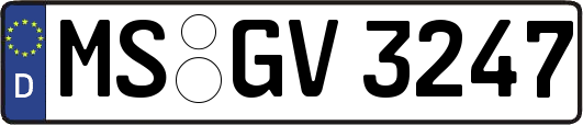 MS-GV3247