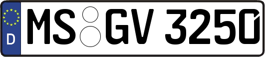 MS-GV3250