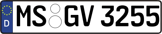 MS-GV3255
