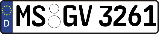 MS-GV3261