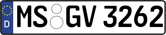 MS-GV3262