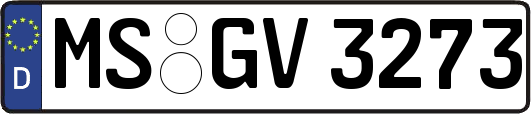 MS-GV3273