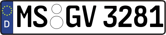 MS-GV3281