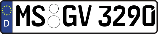 MS-GV3290