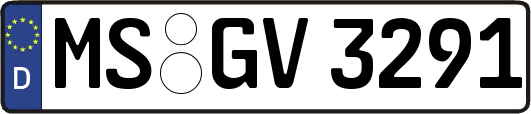 MS-GV3291