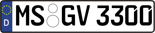 MS-GV3300