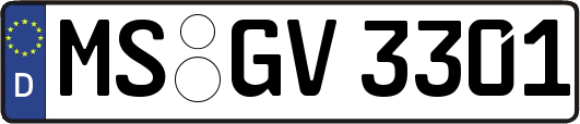 MS-GV3301