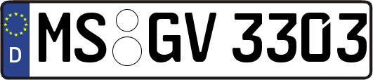 MS-GV3303