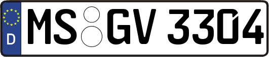 MS-GV3304