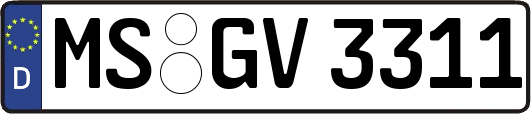 MS-GV3311