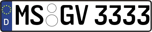 MS-GV3333