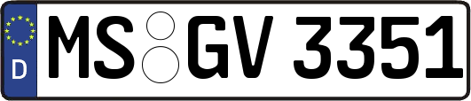 MS-GV3351