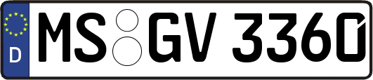 MS-GV3360