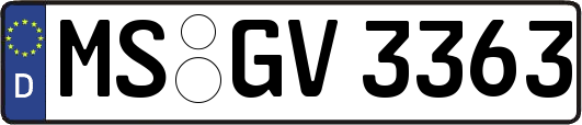 MS-GV3363