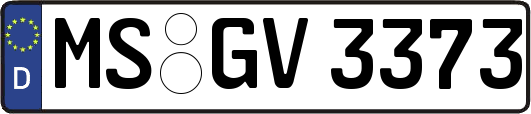 MS-GV3373