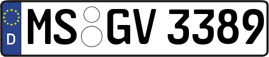 MS-GV3389