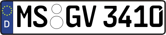 MS-GV3410