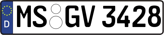 MS-GV3428