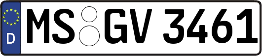 MS-GV3461