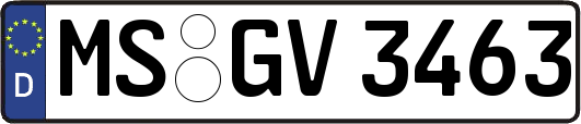 MS-GV3463