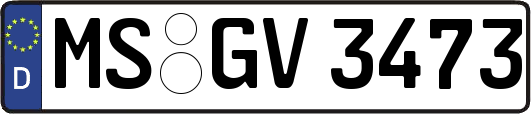 MS-GV3473