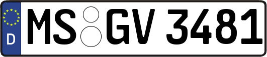 MS-GV3481