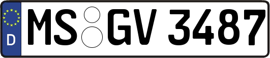 MS-GV3487